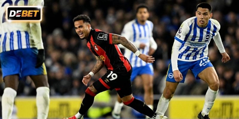Soi kèo Brighton vs Bournemouth vòng 22 Ngoại Hạng Anh